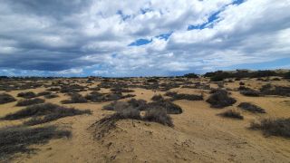 2023-GC--Mapalomas dunas-S123-012.jpg